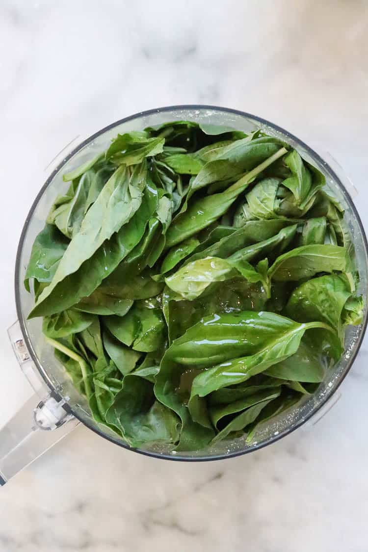 Spinach, basil, and other pesto ingredients in a food processor.