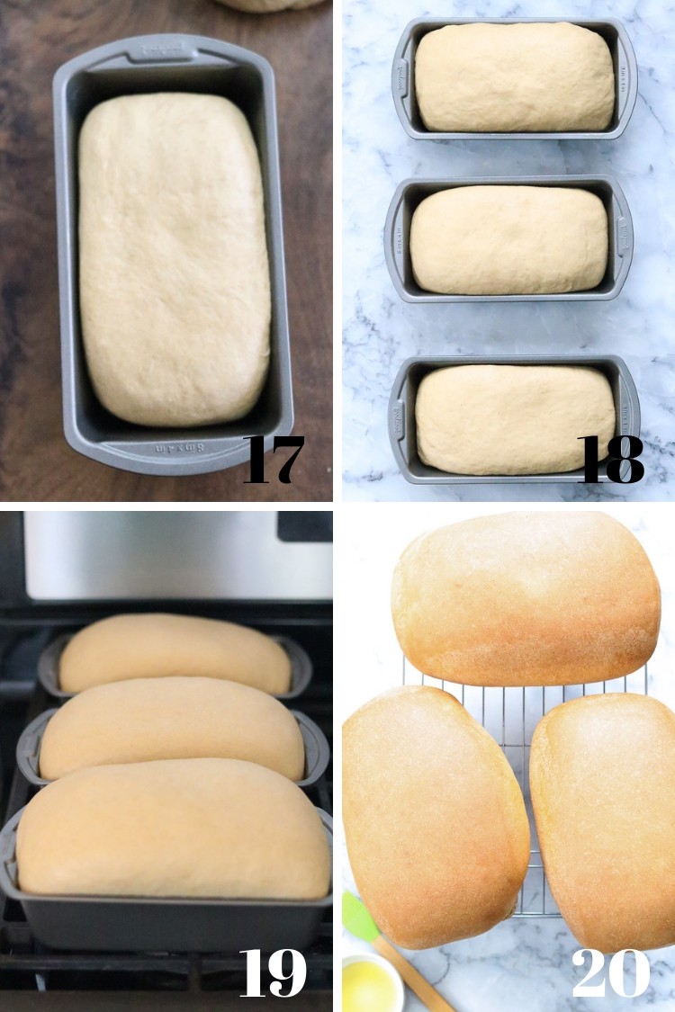 overhead shots of photo collage of whole wheat bread in various stages of rising and baking