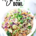 side overhead closeup shot of vegan egg roll ingredients in a white bowl with text overlay for pinterest