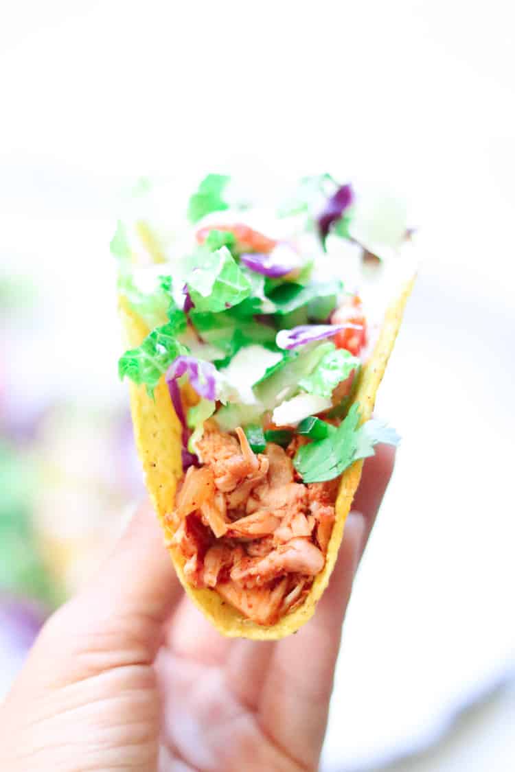 side closeup shot of hand holding jackfruit taco