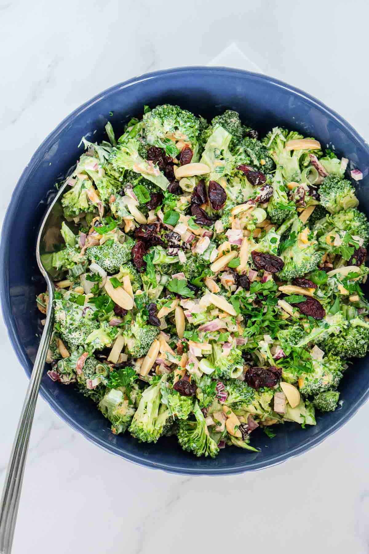Creamy vegan broccoli salad with cranberries.