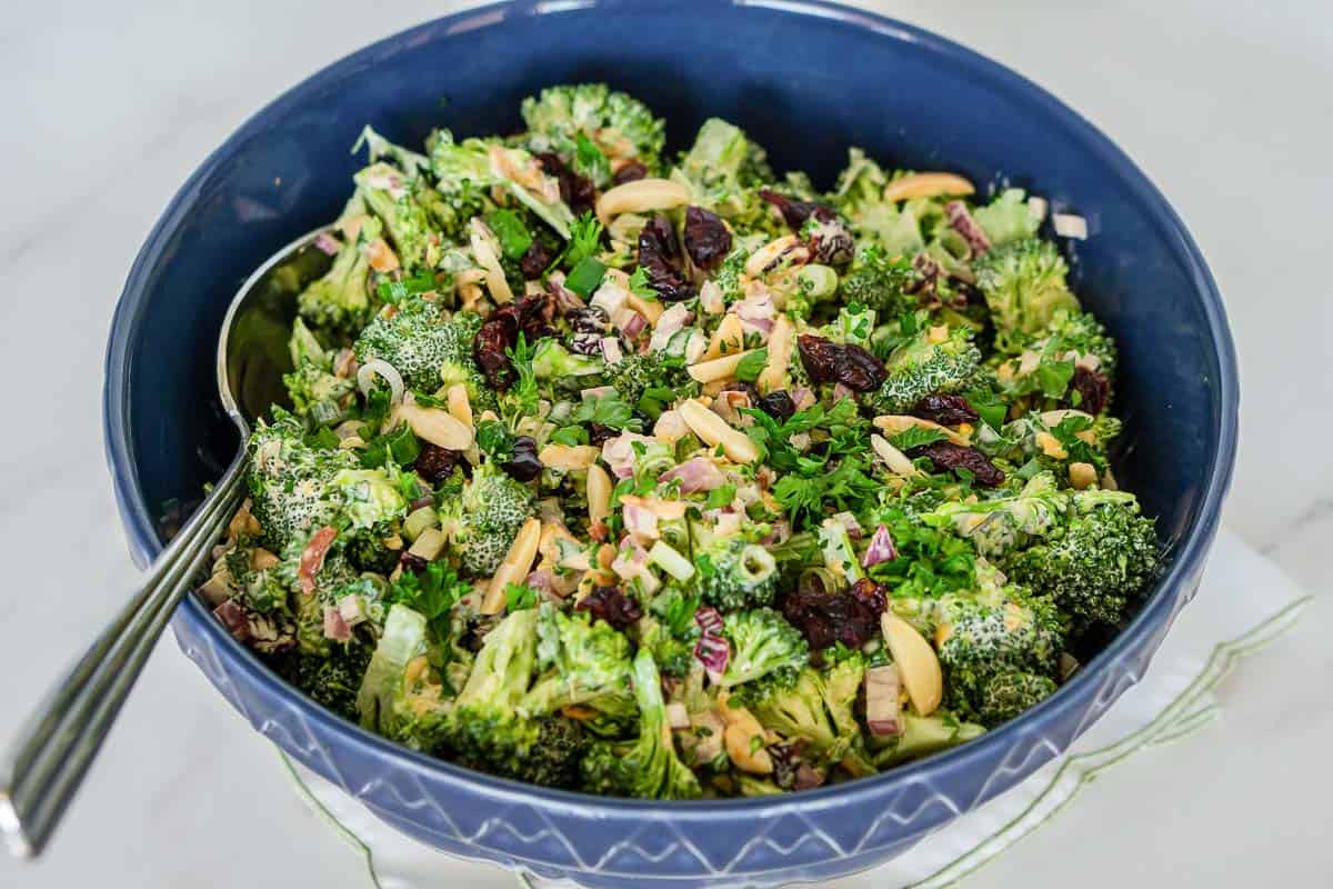 Amazing Vegan Broccoli Salad