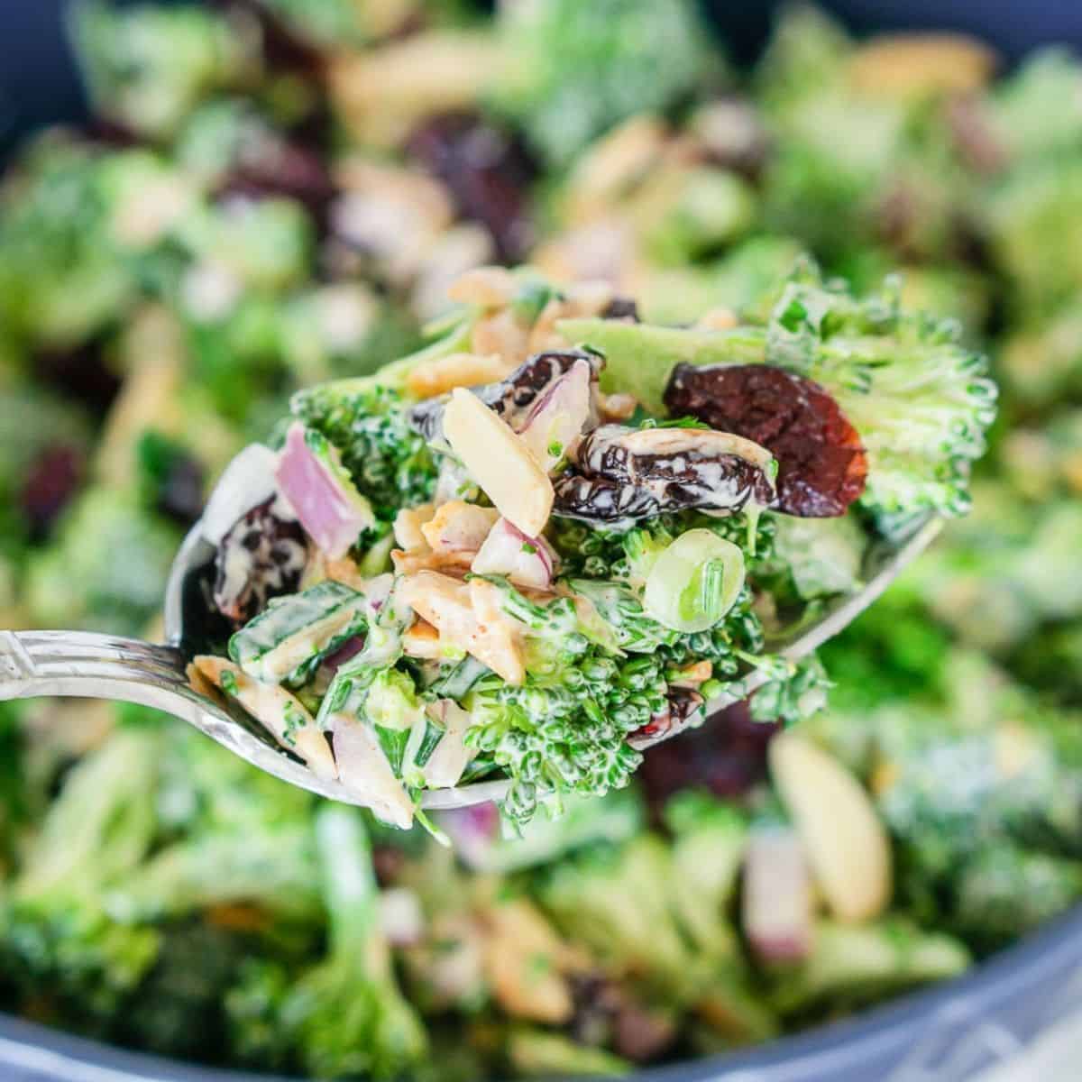 Vegan broccoli salad with cranberries and almonds in a spoon.