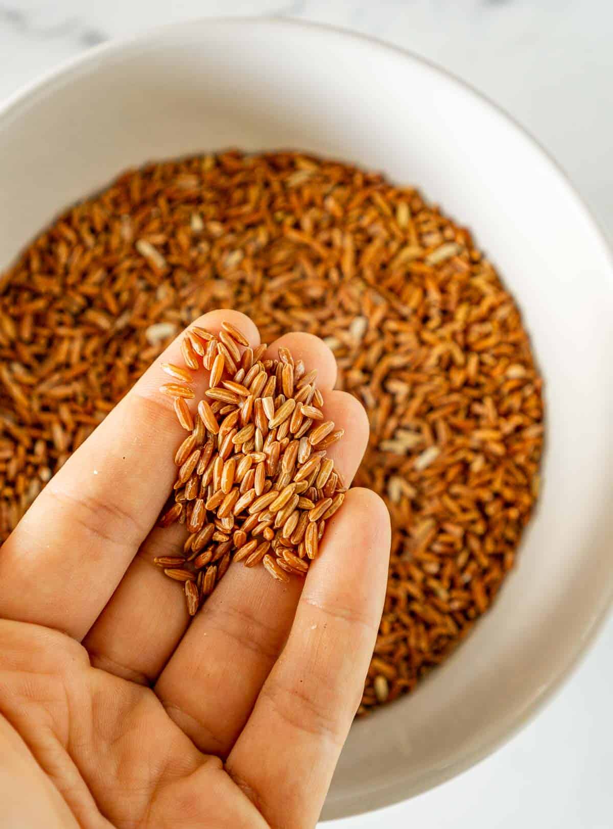 Hand showing closeup of uncooked red rice.