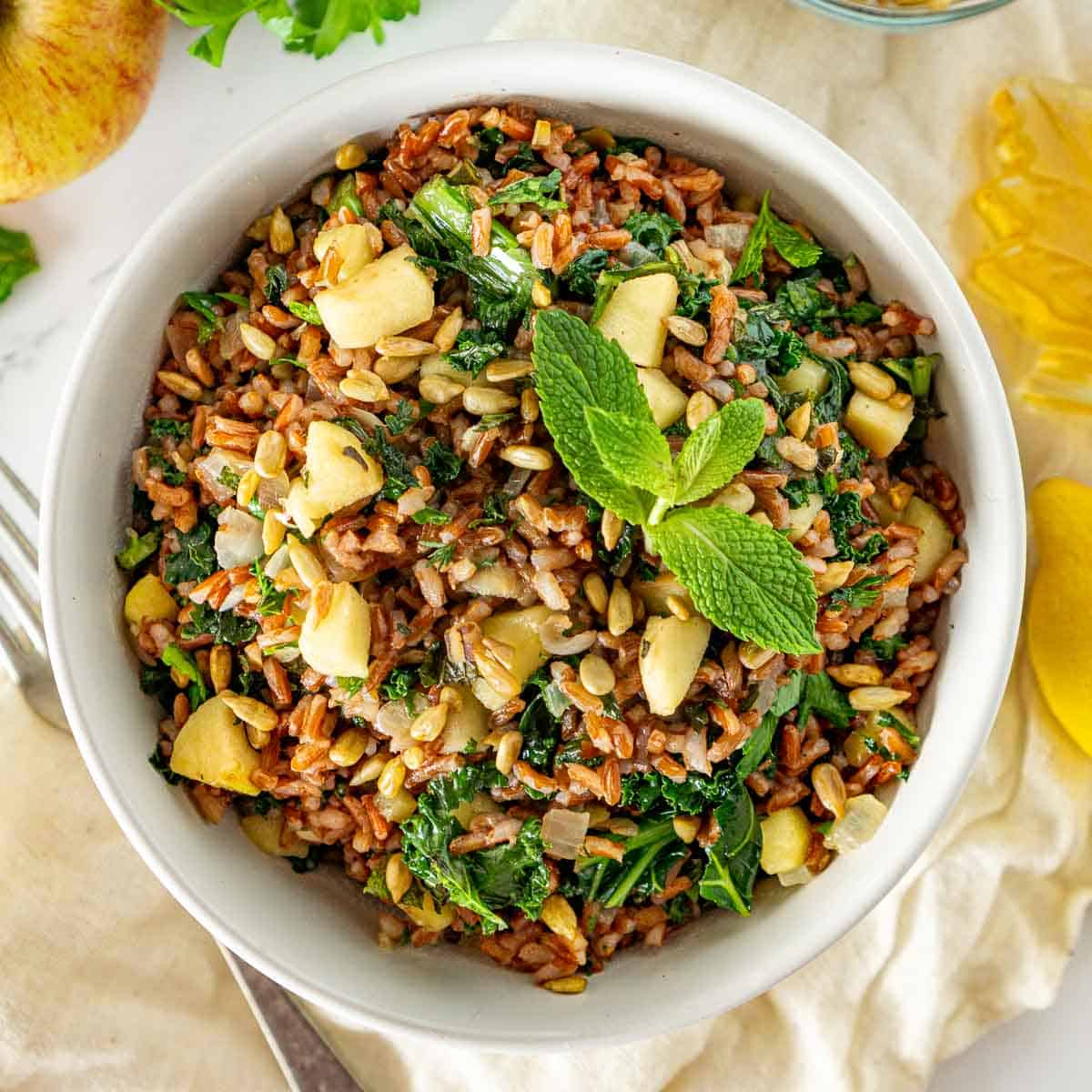 Red rice salad with apples and kale in a white bowl.