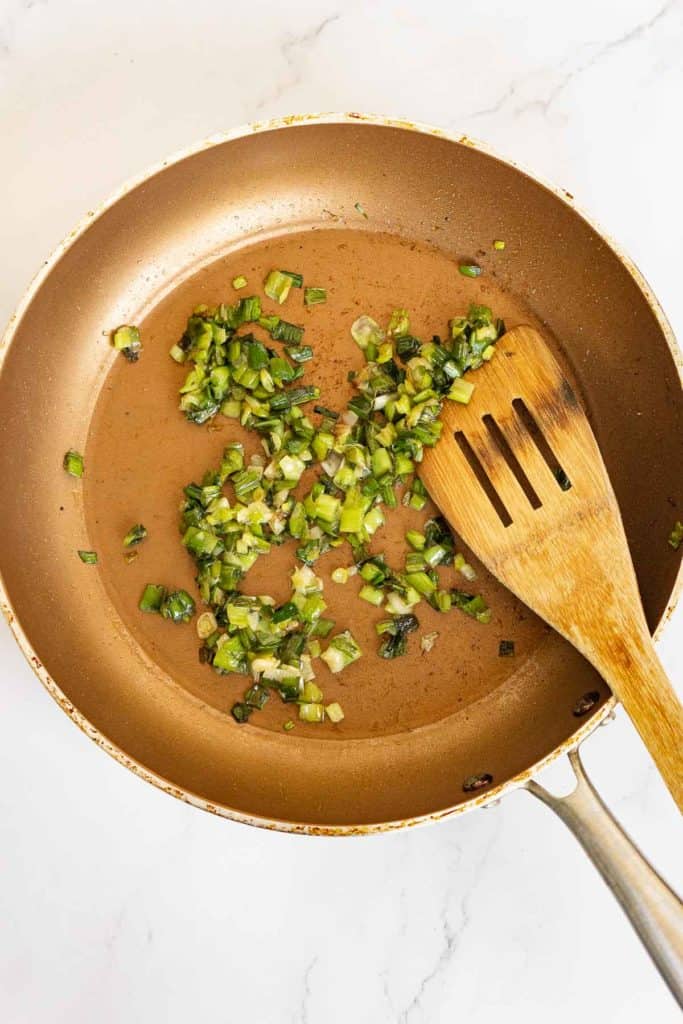 Vegan Savory Pancakes (Mung Bean Scallion Pancakes) Vegan Blueberry