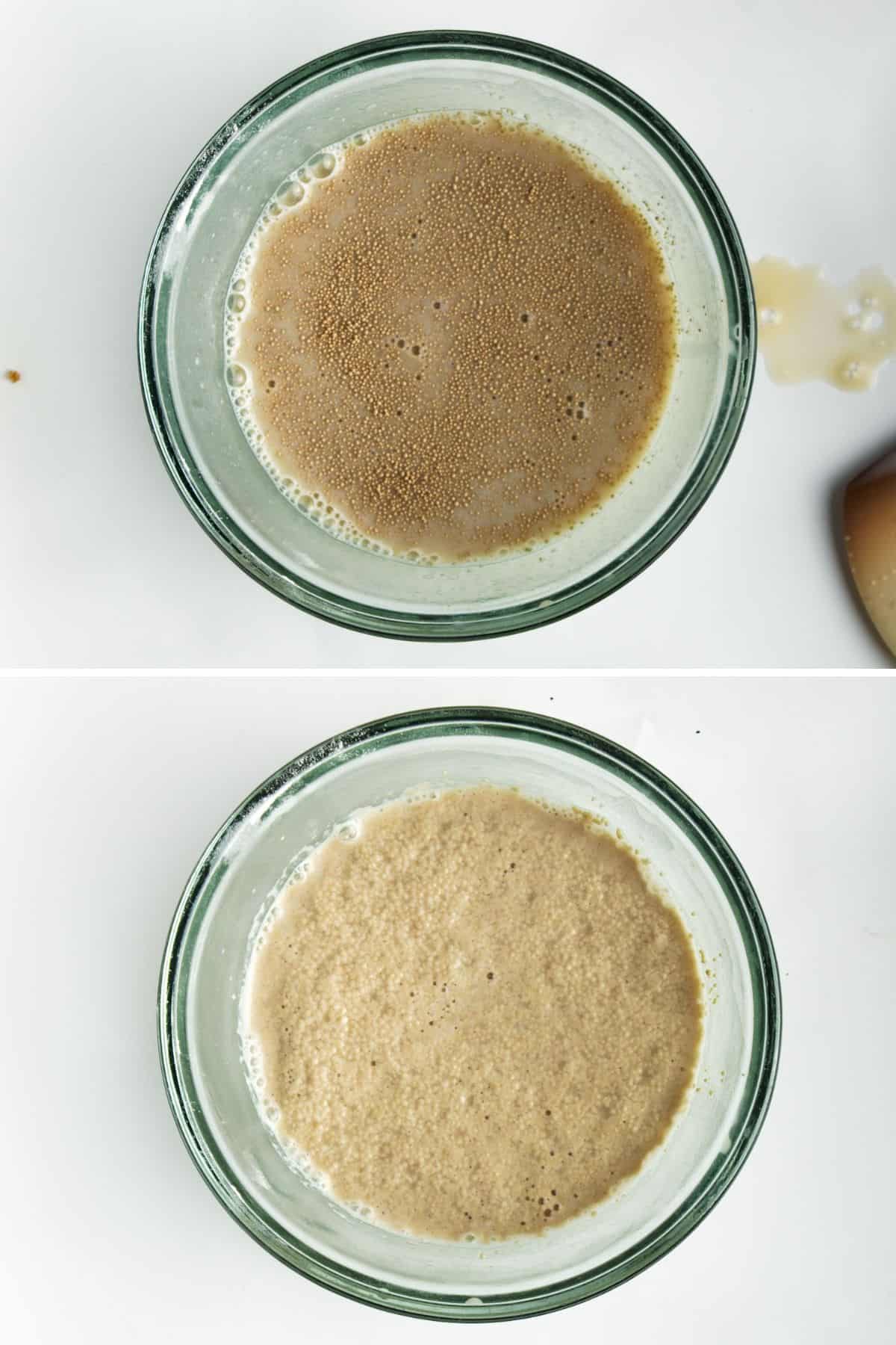 Collage of 2 pictures showing how active dry yeast is activated